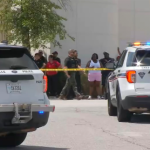 Multiple people wounded in shooting at Haywood Mall in South Carolina: report
