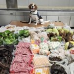 CBP dog finds 100 lbs of meat and wildlife products from Thailand