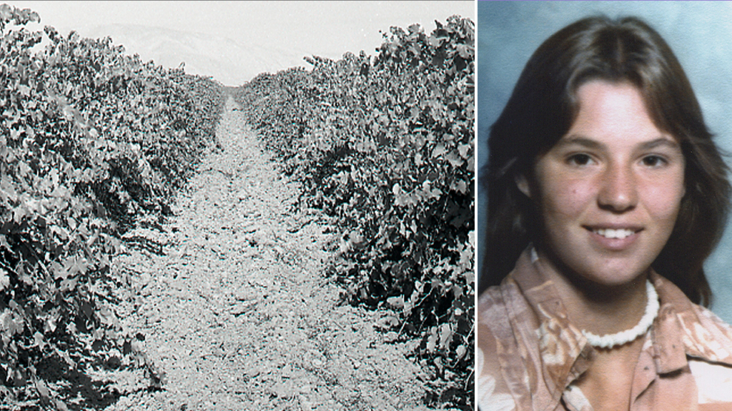 Girl buried beneath vineyard identified after 48 years as cops hunt killer