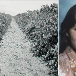 Girl buried beneath vineyard identified after 48 years as cops hunt killer